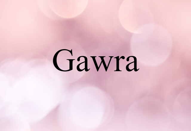 Gawra (noun) Definition, Meaning & Examples