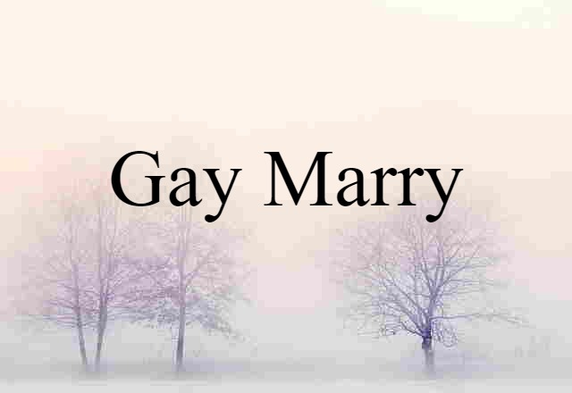 Gay Marry (noun) Definition, Meaning & Examples