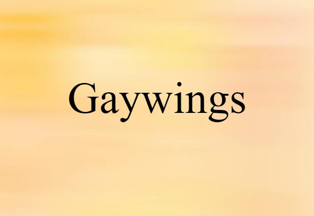 Gaywings (noun) Definition, Meaning & Examples