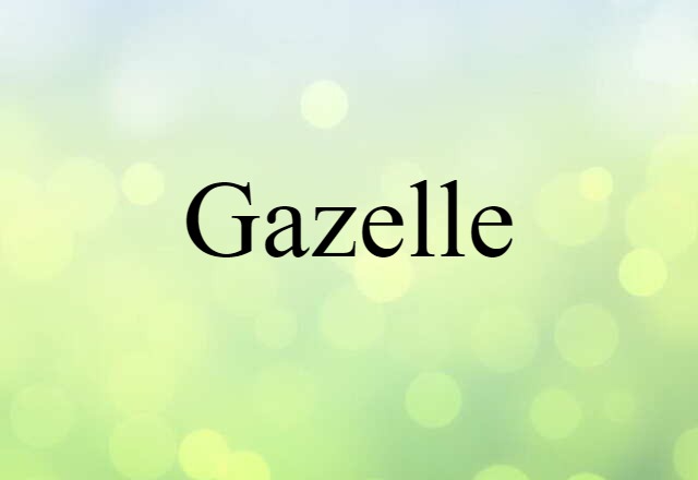 gazelle