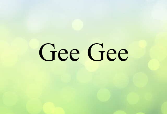 Gee-gee (noun) Definition, Meaning & Examples