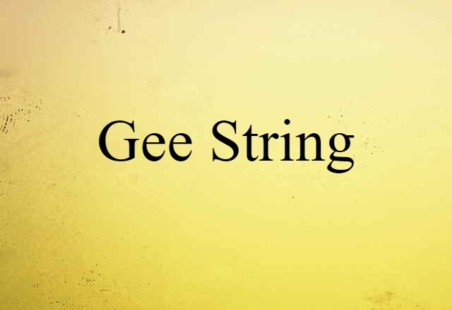 Gee String (noun) Definition, Meaning & Examples