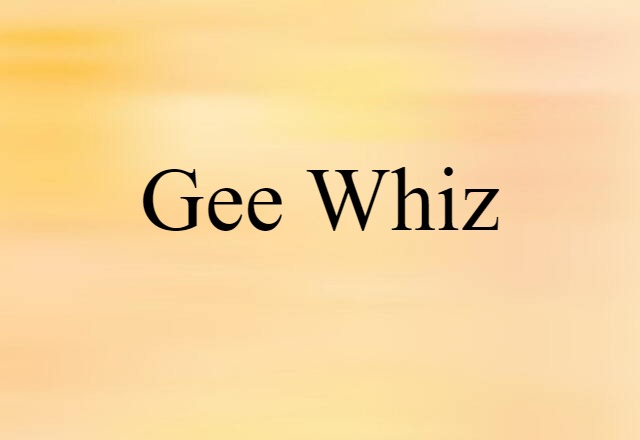 Gee Whiz (noun) Definition, Meaning & Examples