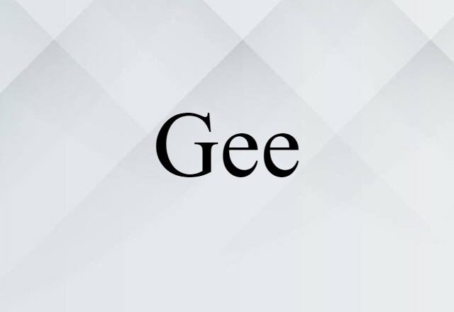 Gee (noun) Definition, Meaning & Examples