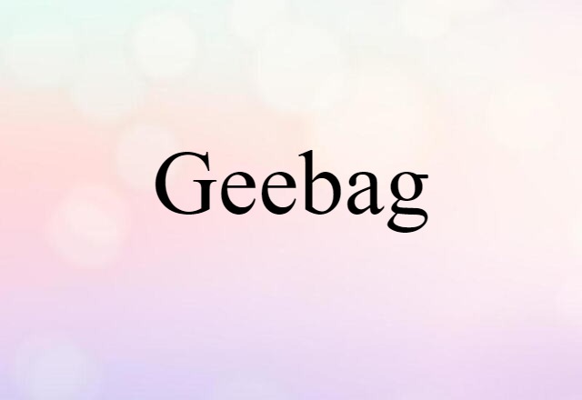 Geebag (noun) Definition, Meaning & Examples