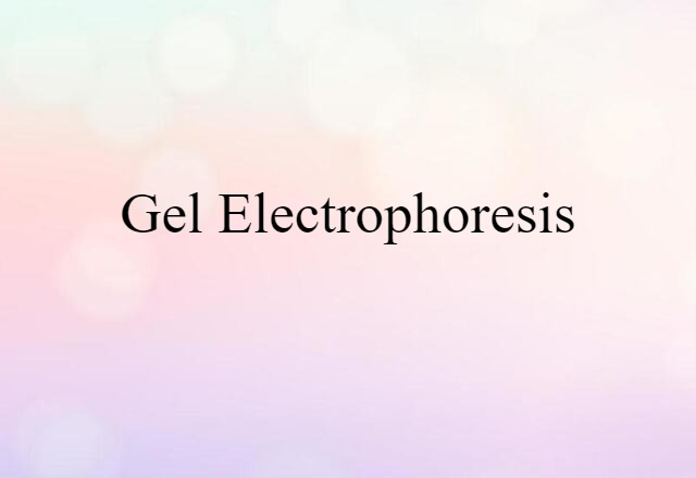 Gel Electrophoresis (noun) Definition, Meaning & Examples