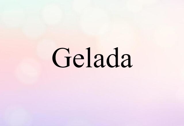 Gelada (noun) Definition, Meaning & Examples