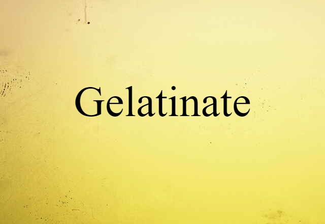 Gelatinate (noun) Definition, Meaning & Examples