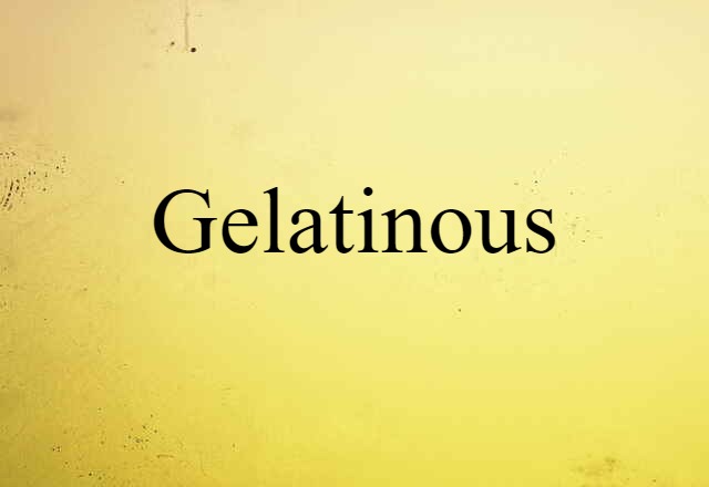 Gelatinous (noun) Definition, Meaning & Examples