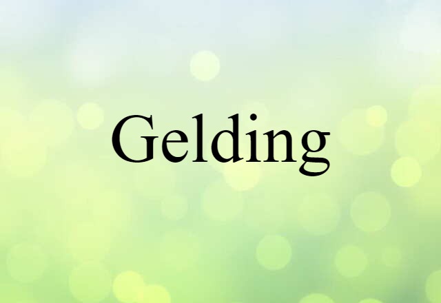 gelding