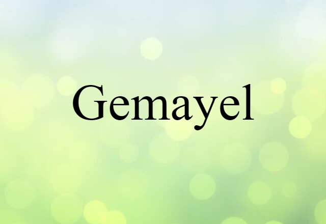 Gemayel (noun) Definition, Meaning & Examples