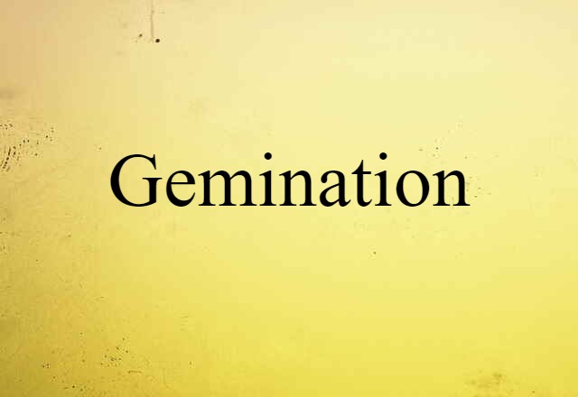 Gemination (noun) Definition, Meaning & Examples