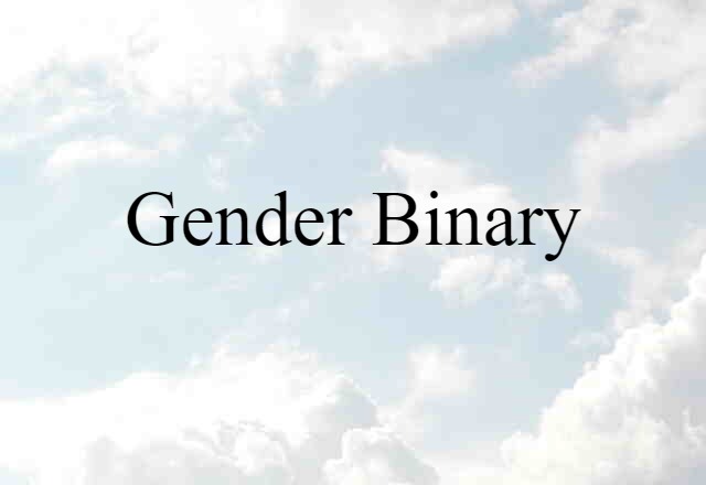 Gender Binary (noun) Definition, Meaning & Examples