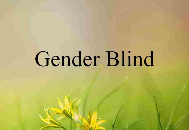 Gender-blind (noun) Definition, Meaning & Examples