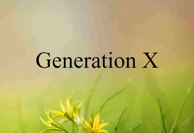 Generation X (noun) Definition, Meaning & Examples