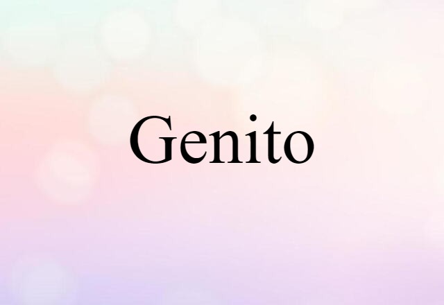 Genito (noun) Definition, Meaning & Examples