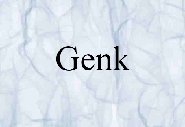 Genk (noun) Definition, Meaning & Examples