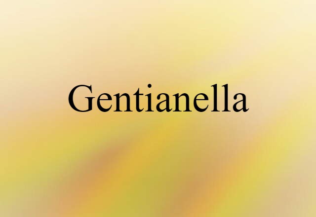 Gentianella (noun) Definition, Meaning & Examples