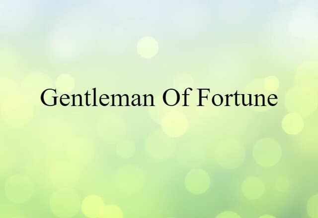 Gentleman Of Fortune (noun) Definition, Meaning & Examples