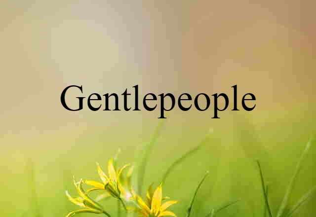 Gentlepeople (noun) Definition, Meaning & Examples