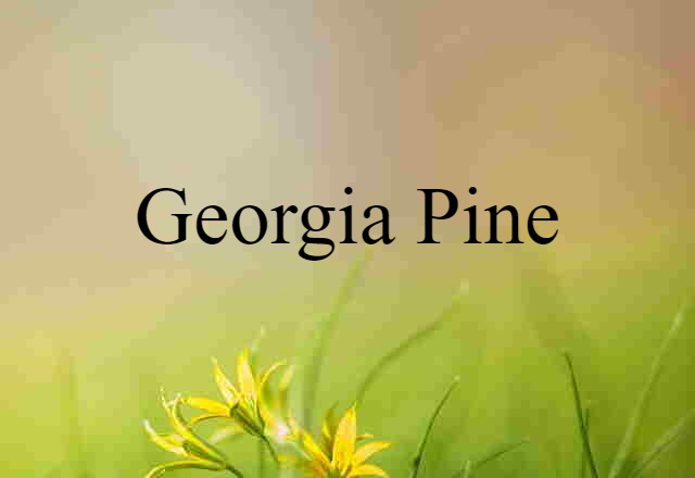 Georgia pine