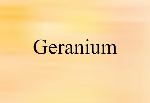 geranium