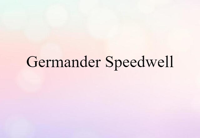 Germander Speedwell (noun) Definition, Meaning & Examples