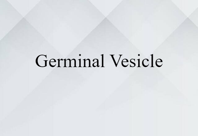 germinal vesicle