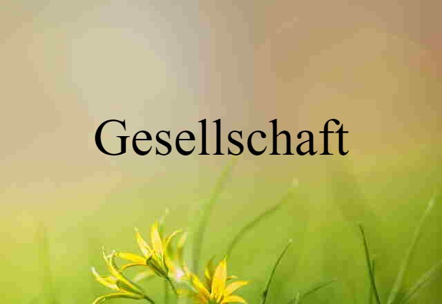 gesellschaft