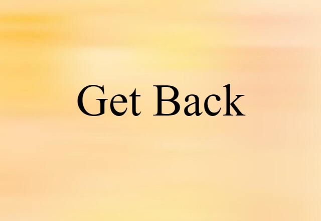 Get Back (noun) Definition, Meaning & Examples