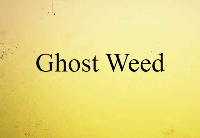 ghost-weed