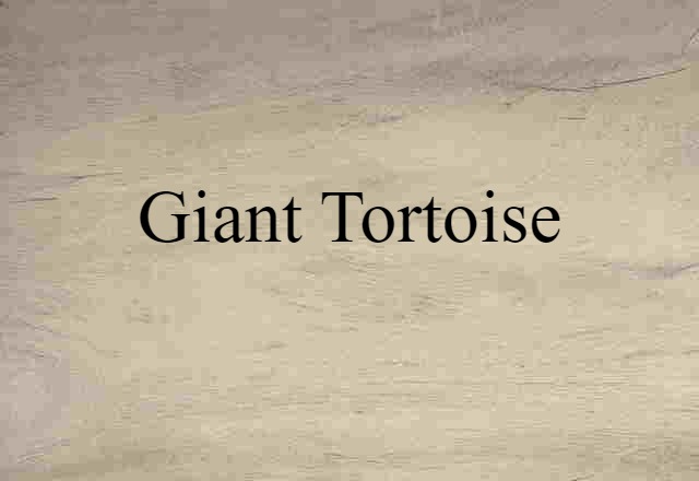 Giant Tortoise (noun) Definition, Meaning & Examples