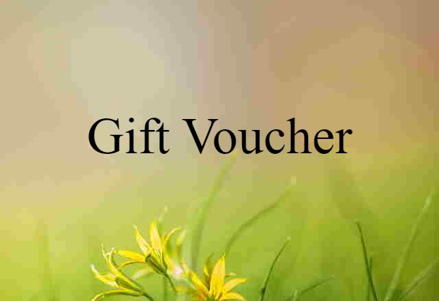 Gift Voucher (noun) Definition, Meaning & Examples