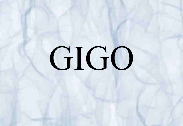 GIGO (noun) Definition, Meaning & Examples