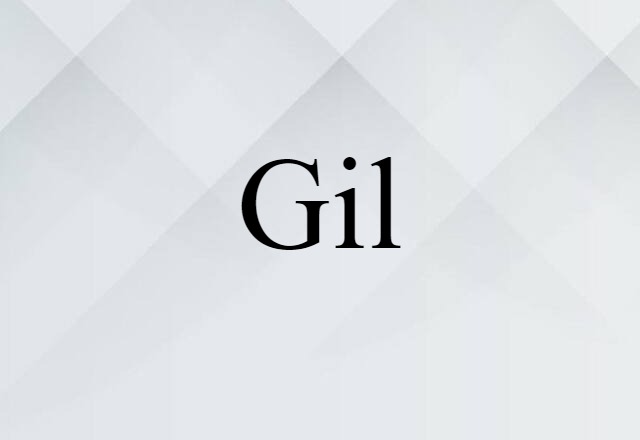 Gil (noun) Definition, Meaning & Examples