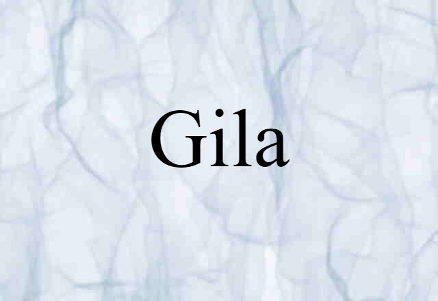 Gila (noun) Definition, Meaning & Examples