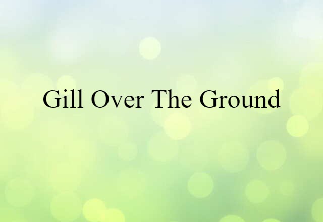 Gill Over The Ground (noun) Definition, Meaning & Examples