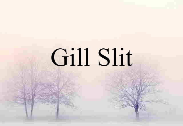 gill slit