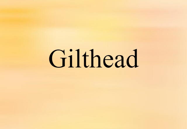 Gilthead (noun) Definition, Meaning & Examples