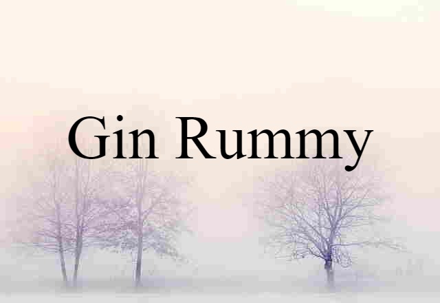 Gin Rummy (noun) Definition, Meaning & Examples