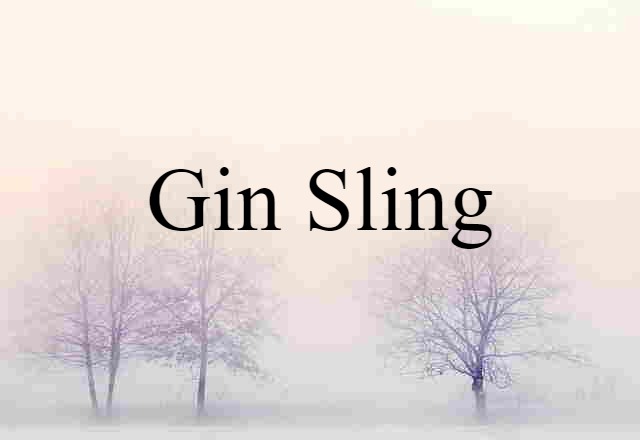 Gin Sling (noun) Definition, Meaning & Examples