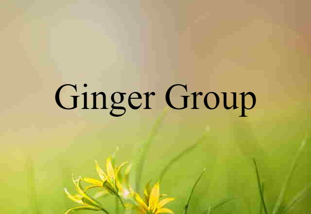 ginger group