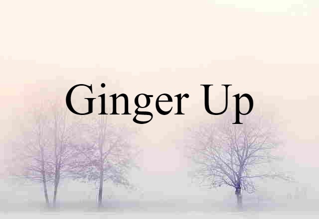 Ginger Up (noun) Definition, Meaning & Examples