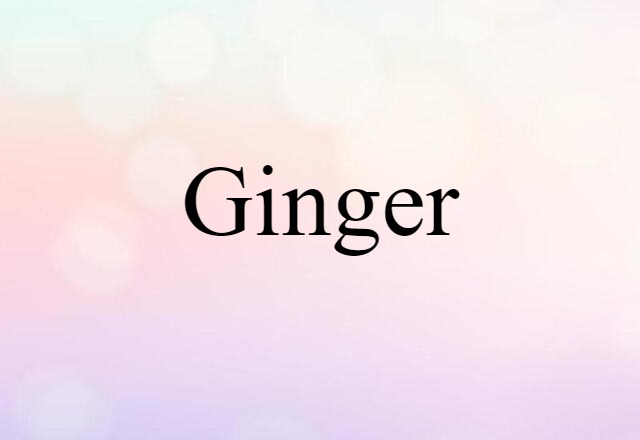 Ginger (noun) Definition, Meaning & Examples