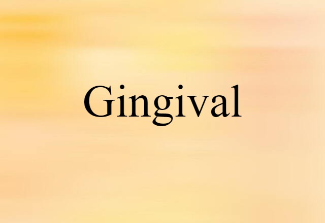 Gingival (noun) Definition, Meaning & Examples