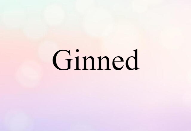 Ginned (noun) Definition, Meaning & Examples