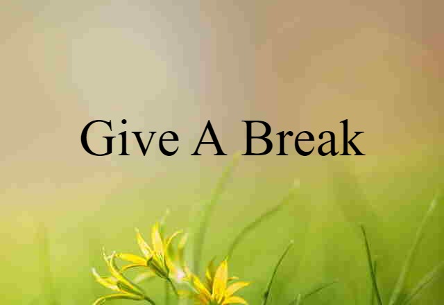 Give A Break (noun) Definition, Meaning & Examples