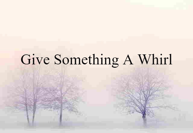 give something a whirl