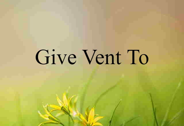 give vent to