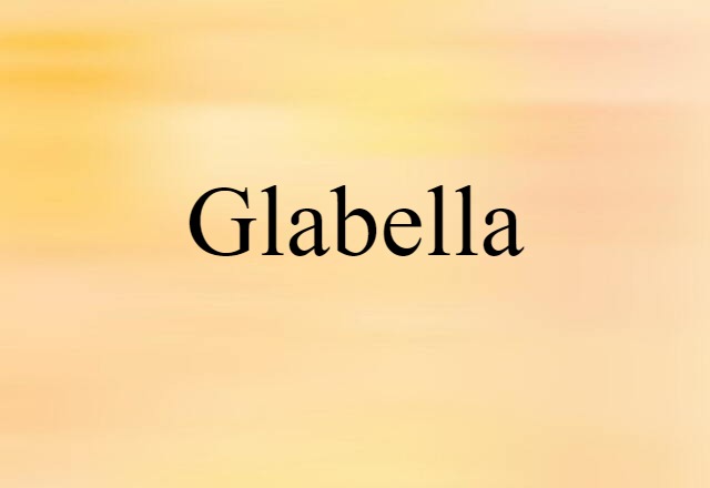 glabella